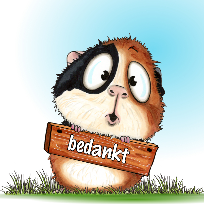 Bedankkaartjes - Bedankt kaart met cavia en bordje