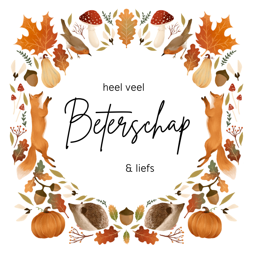 Beterschapskaarten - Beterschap kaart in herfst sfeer 