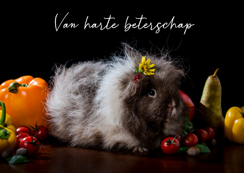 Beterschapskaarten - Beterschap kaart met cavia groente en fruit