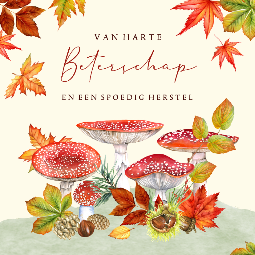 Beterschapskaarten - Beterschap paddestoelen herfst