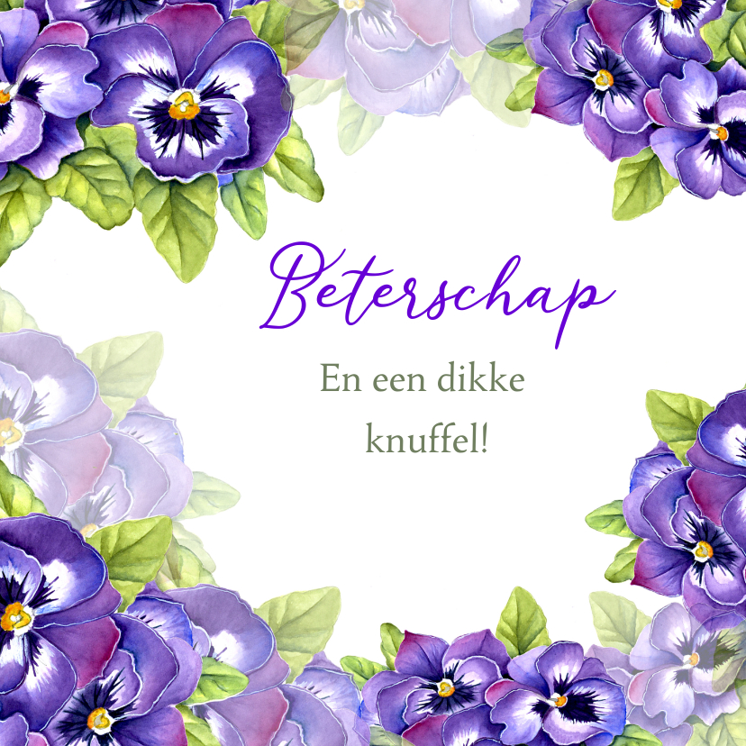 Beterschapskaarten - Beterschap violen