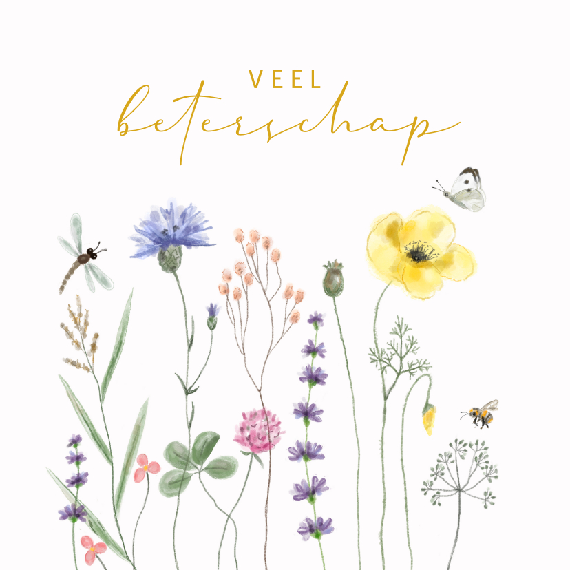 Beterschapskaarten - Beterschap - Watercolor veldbloemen met vlinder