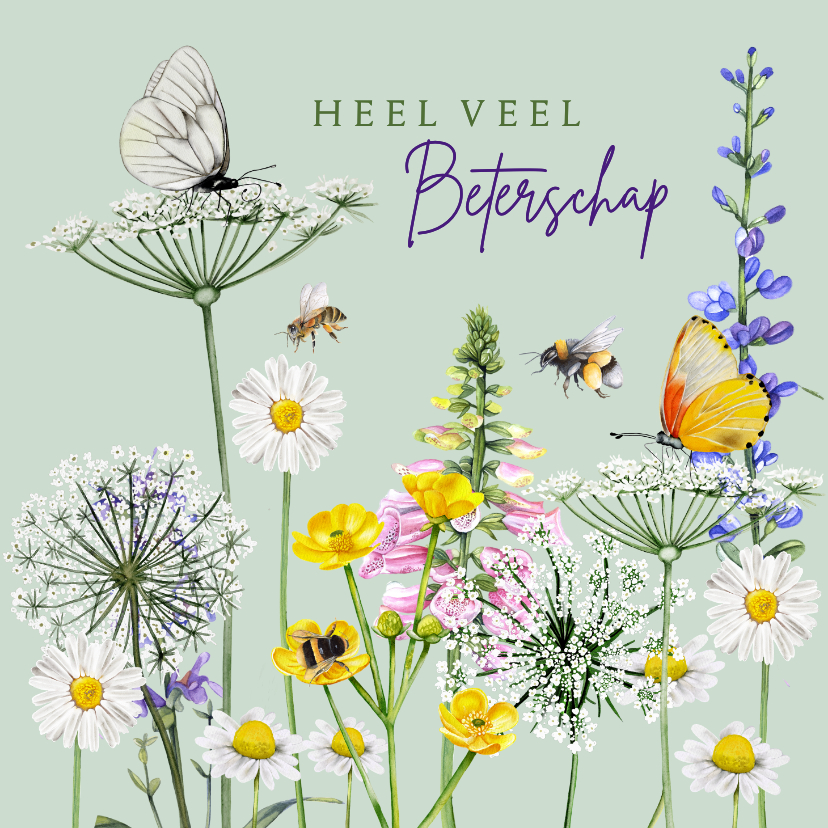 Beterschapskaarten - Beterschapkaart veldbloemen met vlinders en bijen