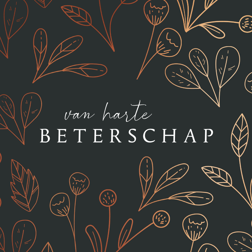 Beterschapskaarten - Beterschapskaart - chique veel beterschap ingetogen