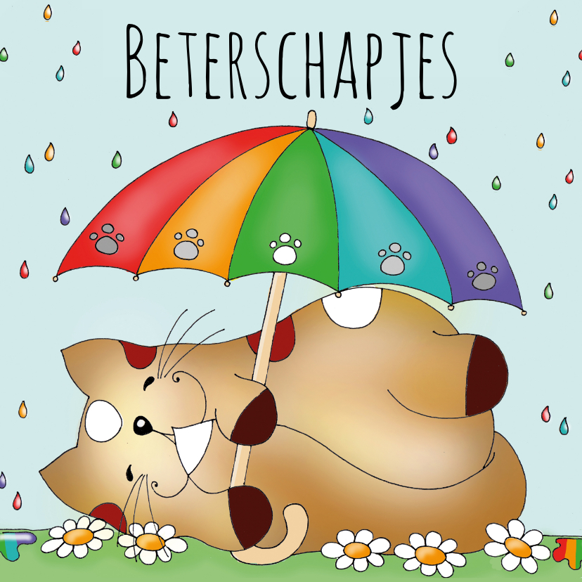 Beterschapskaarten - Beterschapskaart kat in de regen(boog)