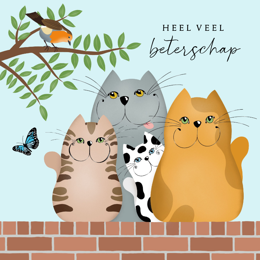 Beterschapskaarten - Beterschapskaart katten op een muurtje