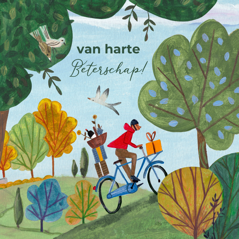 Beterschapskaarten - Beterschapskaart man op de fiets met fruit in de natuur