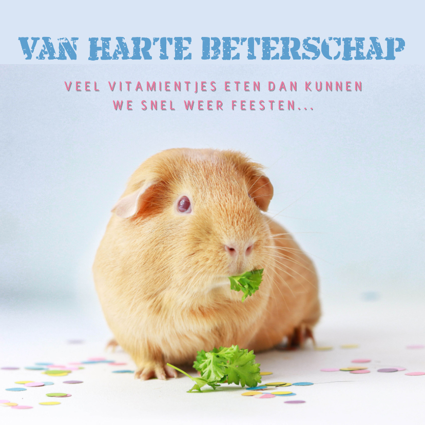 Beterschapskaarten - Beterschapskaart met cavia en groente