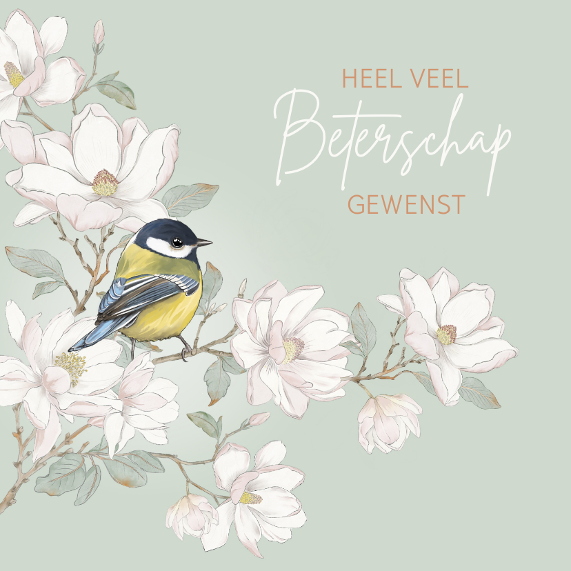 Beterschapskaarten - Beterschapskaart met koolmees op witte magnolia