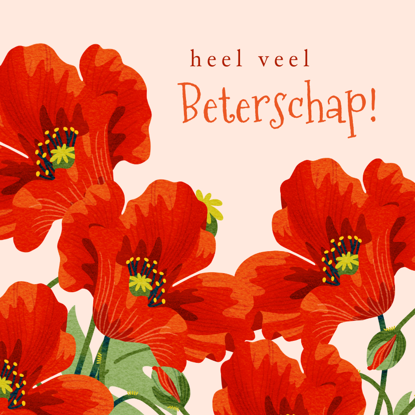 Beterschapskaarten - Beterschapskaart met rode klaprozen bloemen