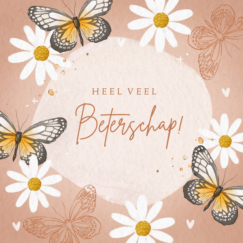 Beterschapskaarten - Beterschapskaart met vlinder en madeliefjes