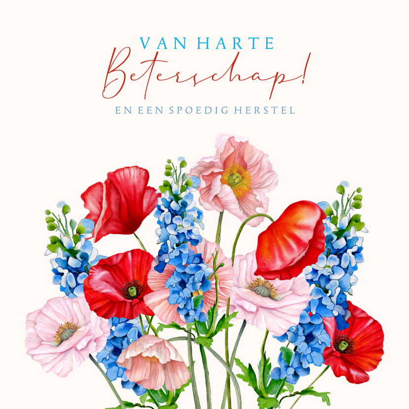 Beterschapskaarten - Beterschapskaart veldbloemen klaprozen