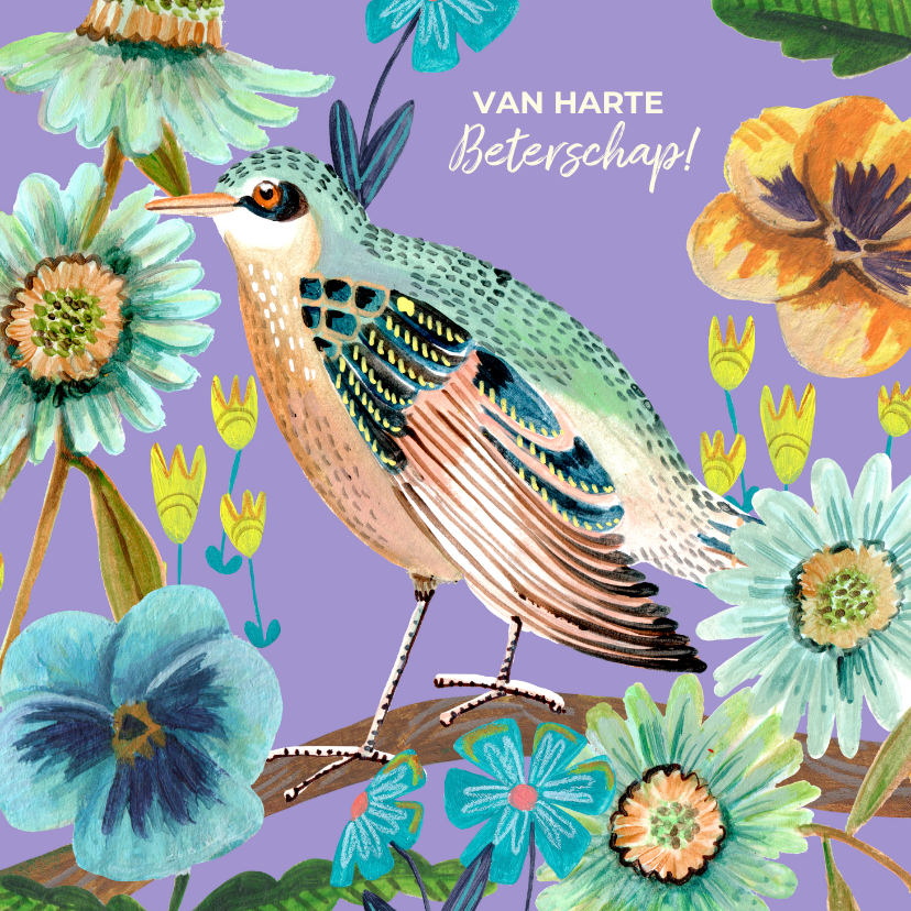 Beterschapskaarten - Beterschapskaartje vogel en bloemen paars