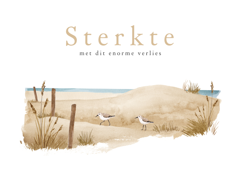 Condoleancekaarten - Condoleance sterkte strand waterverf vogels dieren