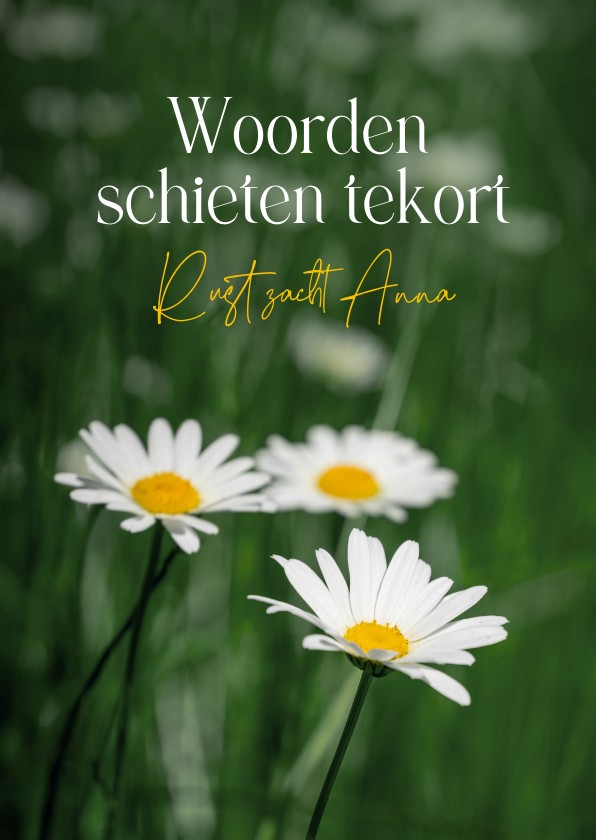 Condoleancekaarten - Condoleancekaart margrietjes bloemen rust zacht