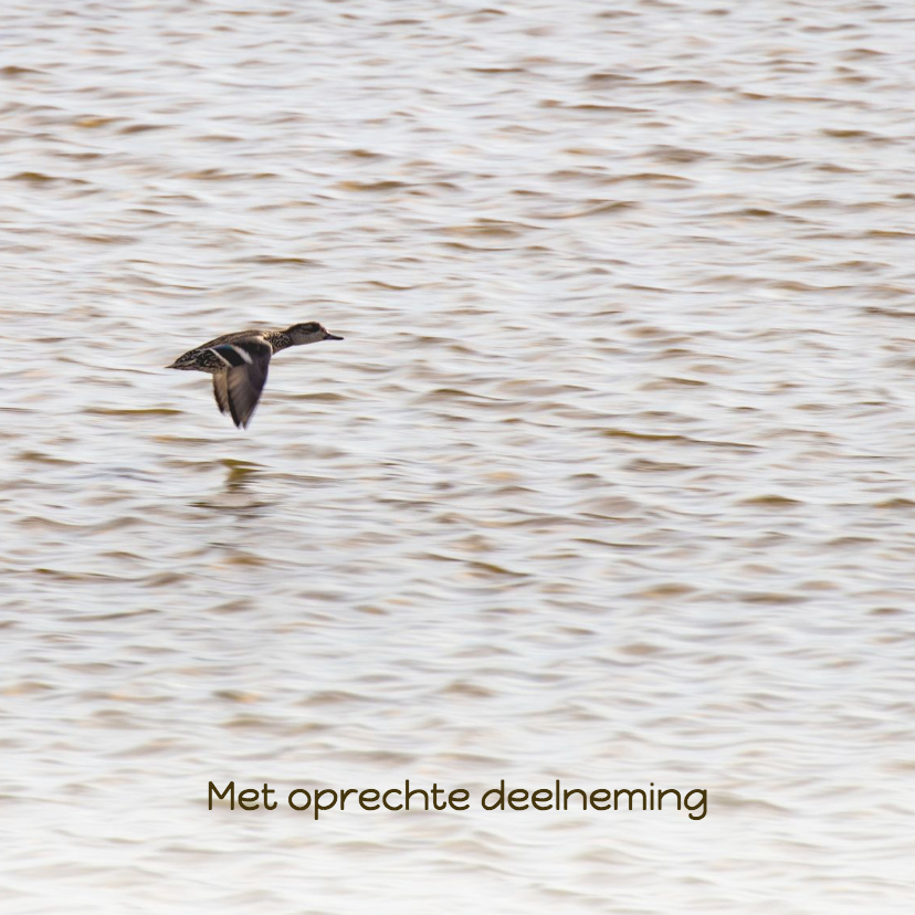 Condoleancekaarten - Condoleancekaart met vliegende eend op zee