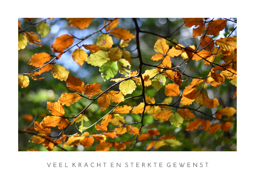 Condoleancekaarten - Moderne condoleancekaart met een foto van herfst bladeren