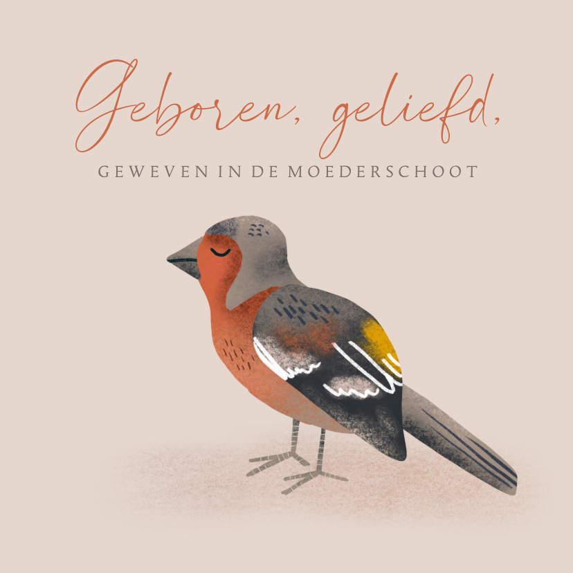 Felicitatiekaarten - Christelijk felicitatiekaartje met vogel voor geboorte