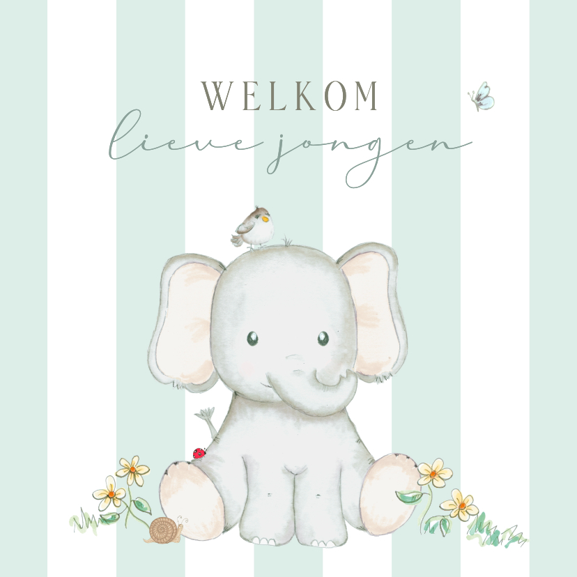 Felicitatiekaarten - Felicitatie geboorte olifant jongen vogel strepen