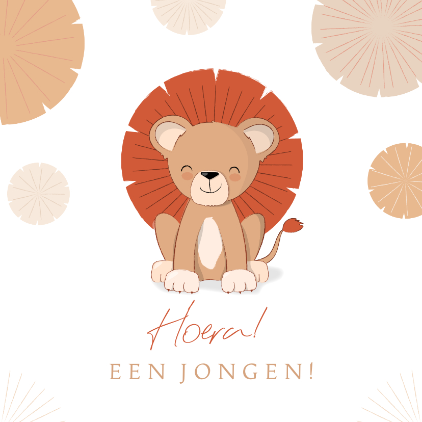 Felicitatiekaarten - Felicitatie illustratie leeuwtje met manen geboorte jongen