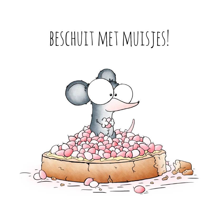 Felicitatiekaarten - Felicitatie kaartje meisje beschuit met muisjes