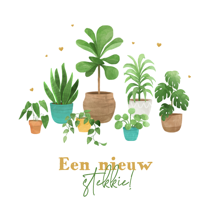 Felicitatiekaarten - Felicitatie nieuw stekkie planten hartjes verhuisdoos