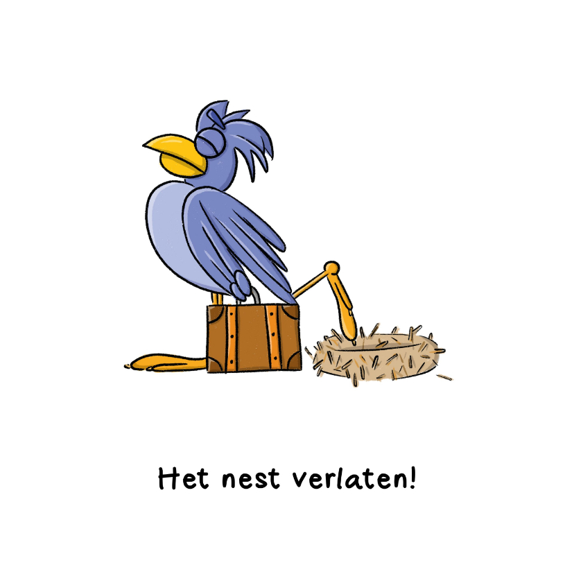 Felicitatiekaarten - Felicitatie nieuwe woning het nest verlaten kaart