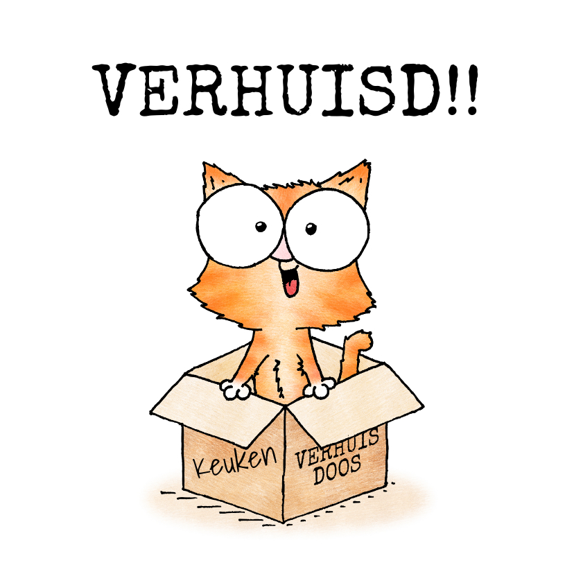 Felicitatiekaarten - Felicitatie nieuwe woning - kitten in verhuisdoos