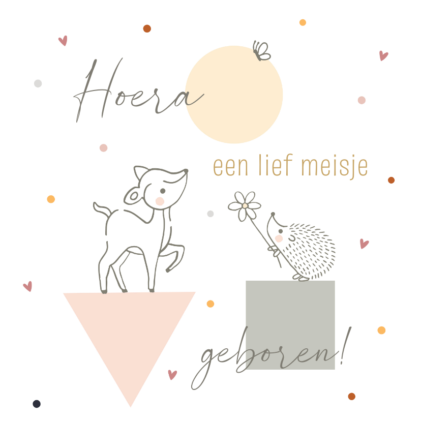 Felicitatiekaarten - Felicitatiekaart geboorte hertje egel vlinder meisje