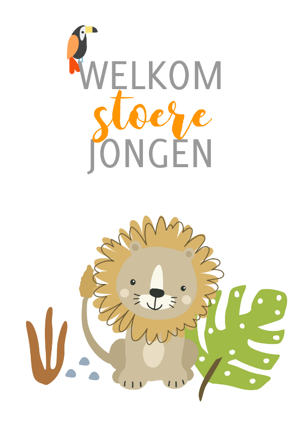 Felicitatiekaarten - Felicitatiekaart geboorte - leeuw jongen