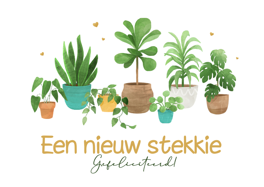 Felicitatiekaarten - Felicitatiekaart nieuw stekkie nieuwe woning planten hartjes