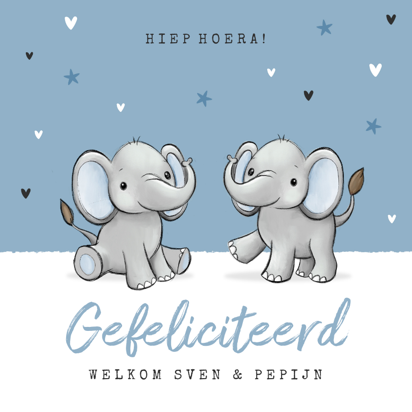 Felicitatiekaarten - Felicitatiekaart tweeling jongens geboorte baby olifantjes