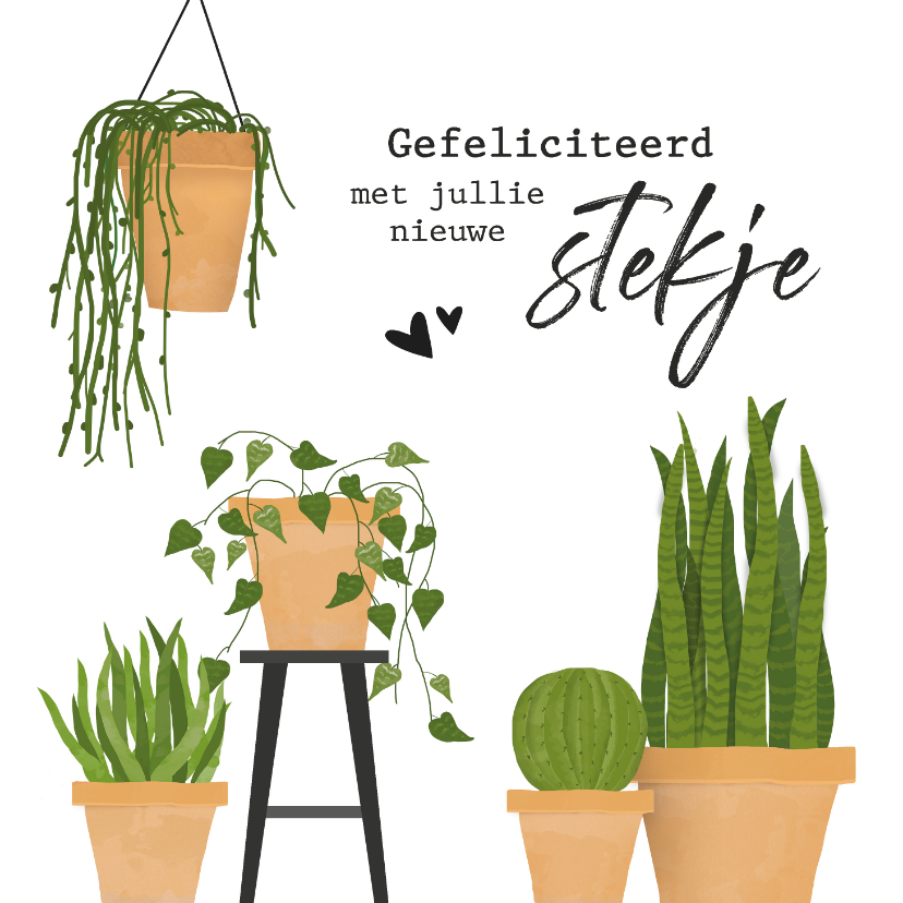 Felicitatiekaarten - Felicitatiekaart voor nieuwe woning met cactus / planten