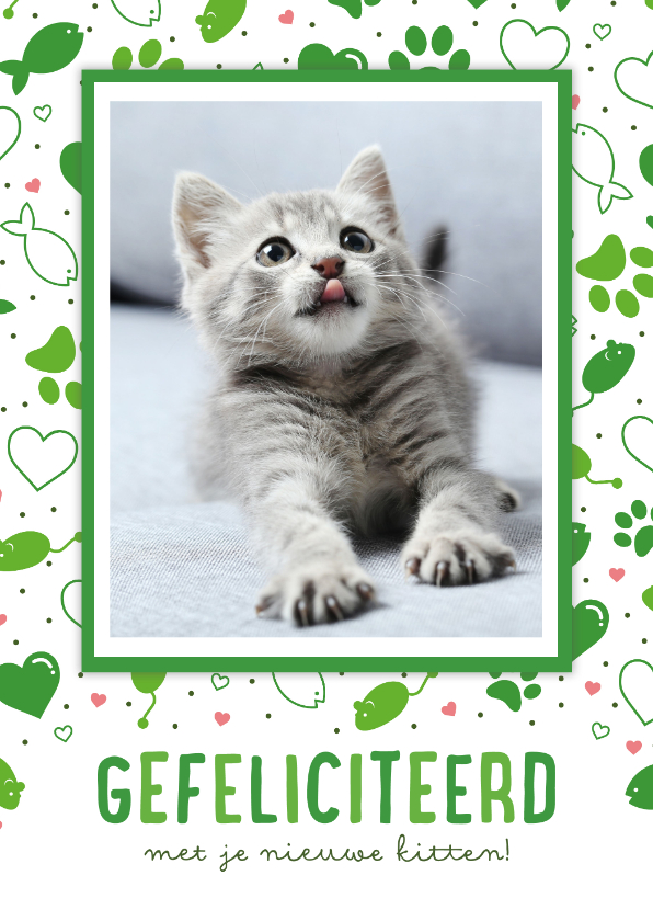 Felicitatiekaarten - Gezellige felicitiatiekaart voor een kitten met patroon