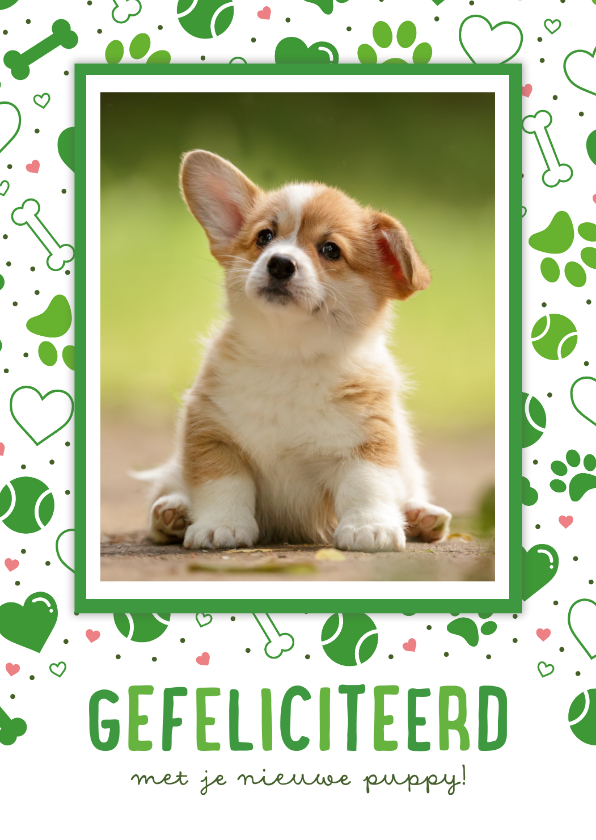 Felicitatiekaarten - Gezellige felicitiatiekaart voor een puppy met patroon