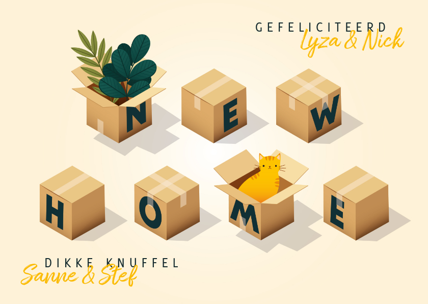 Felicitatiekaarten - Hippe felicitatiekaart 'new home' met dozen, planten en kat