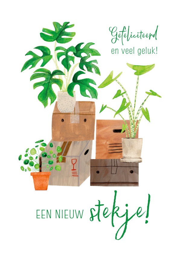 Felicitatiekaarten - Hippe felicitatiekaart nieuw stekje met planten verhuisdozen