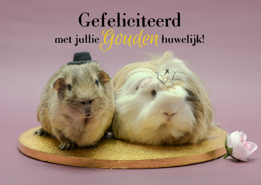 Felicitatiekaarten - Huwelijksjubileum felicitatiekaart met cavia koppel