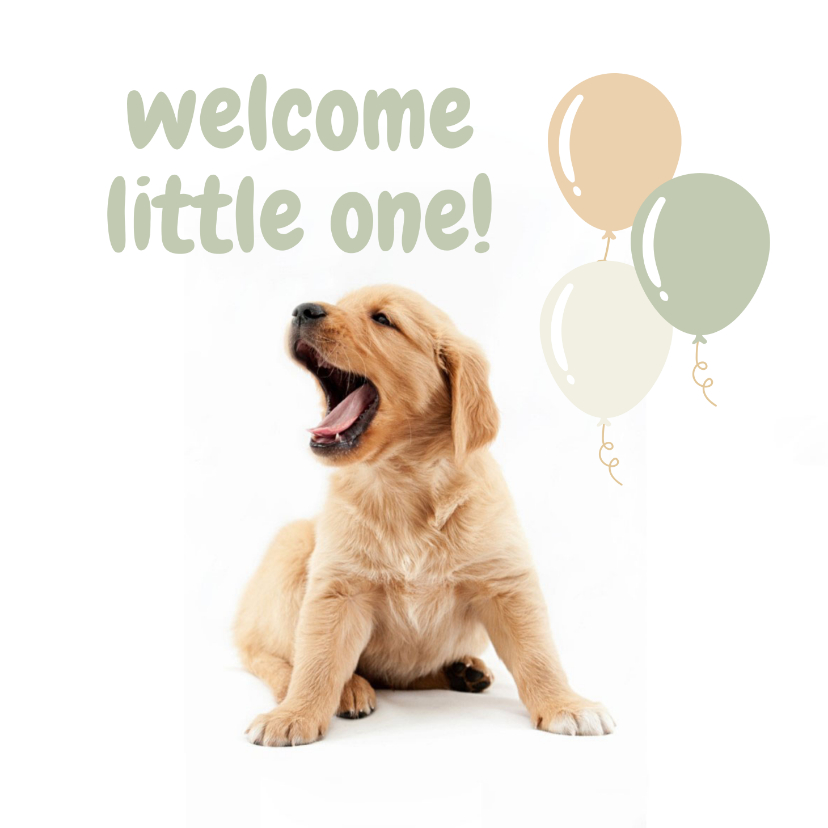 Felicitatiekaarten - KNGF Geleidehond felicitatiekaart welcome little one