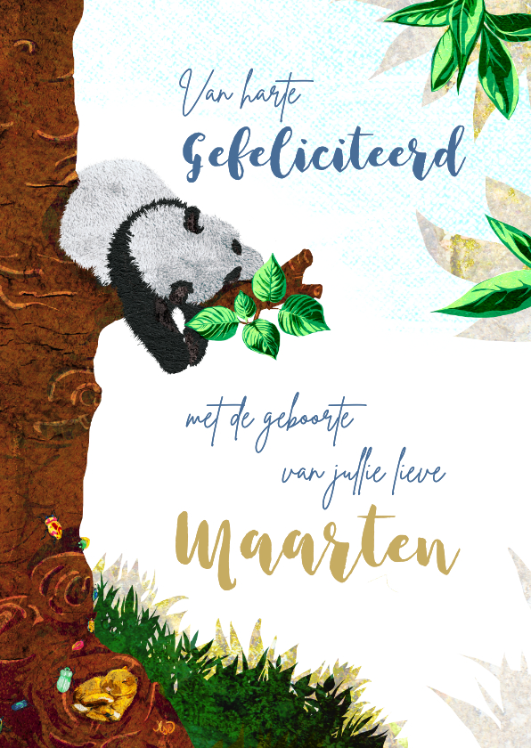 Felicitatiekaarten - Lief geboorte felicitiatie kaartje voor een jongen met panda