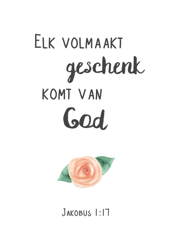 Felicitatiekaarten - Religiekaartje geboorte bijbeltekst Volmaakt geschenk