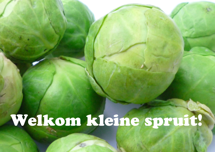 Felicitatiekaarten - Welkom kleine spruit