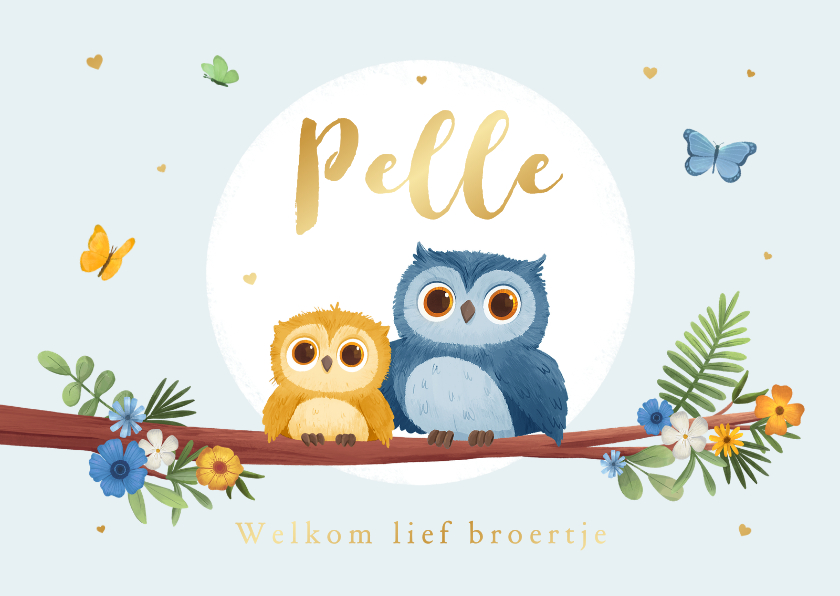 Geboortekaartjes - Geboortekaartje broertje lente uiltjes boom vlinders hartjes