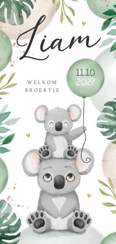 Geboortekaartjes - Geboortekaartje lief broertje zusje koala dieren ballonnen