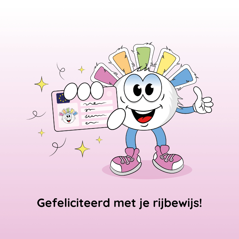 Geslaagd kaarten - Felicitatie Gefeliciteerd met je Rijbewijs