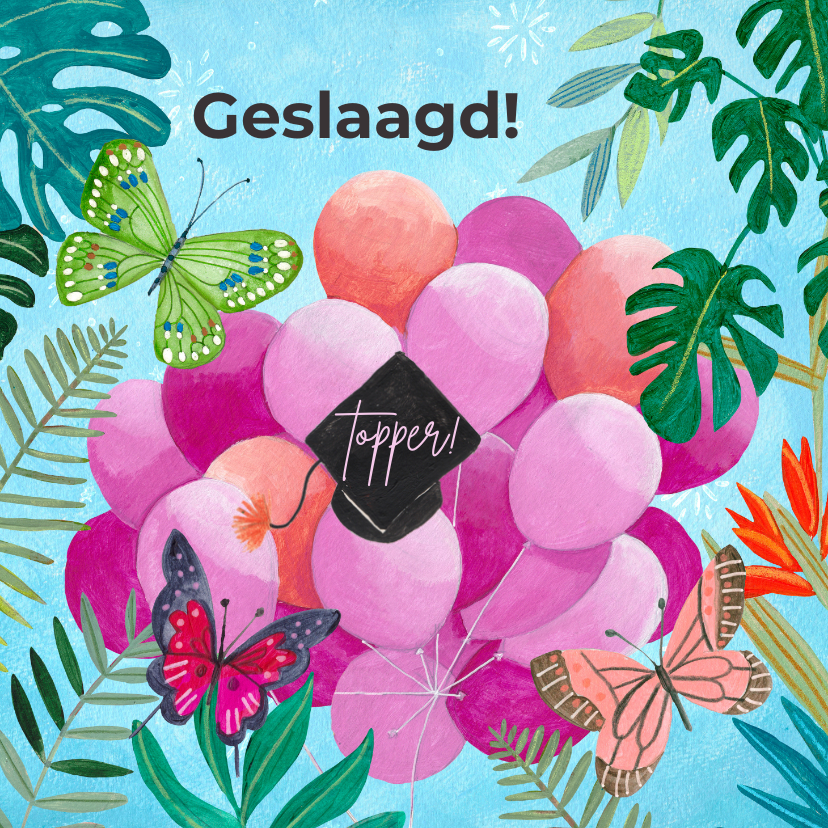 Geslaagd kaarten - Felicitatie geslaagd ballonnen vlinders en zwart hoedje.