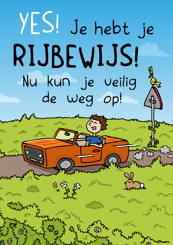 Geslaagd kaarten - Felicitatiekaartje rijbewijs veilig de weg op