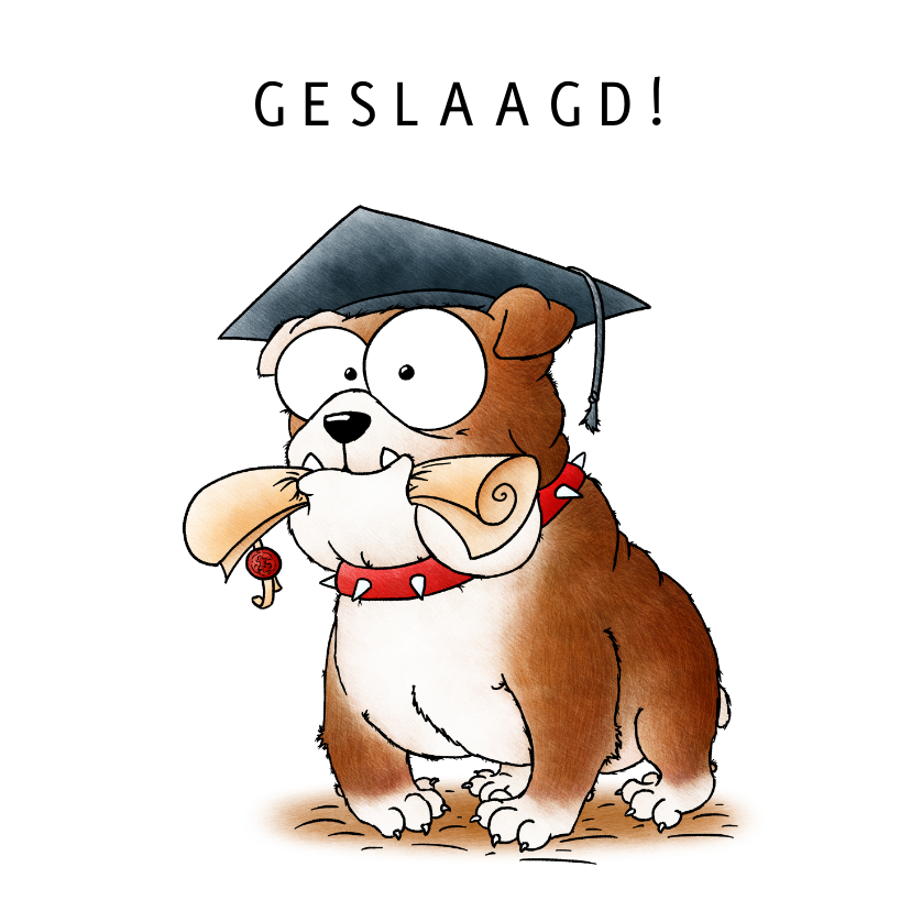 Geslaagd kaarten - Geslaagd kaart bulldog