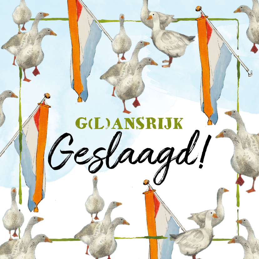 Geslaagd kaarten - Geslaagdkaart g(l)ansrijk geslaagd