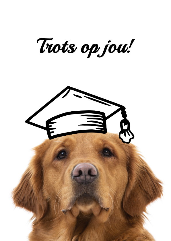 Geslaagd kaarten - KNGF Geleidehond felicitatiekaart geslaagd trots op jou